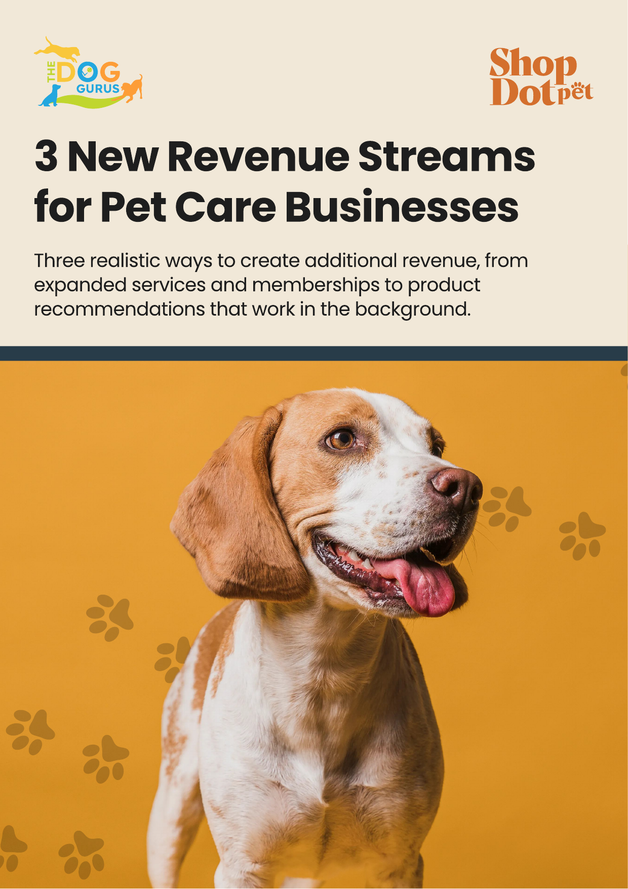 Three New Revenue Streams Cover